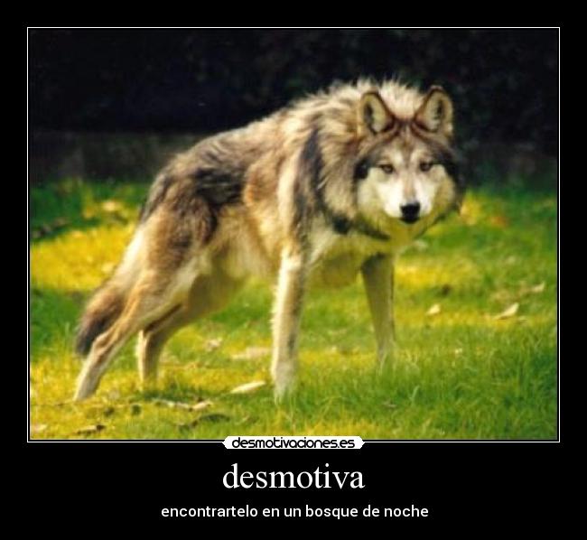 desmotiva - 