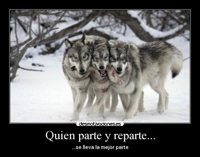 carteles quien parte reparte lleva mejor parte lobos bozak desmotivaciones