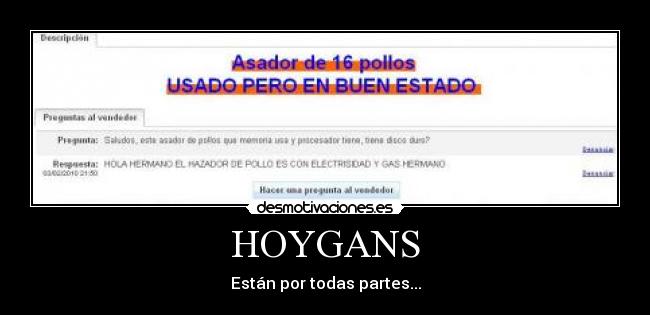 carteles hoygans hoygans pollo venta desmotivaciones