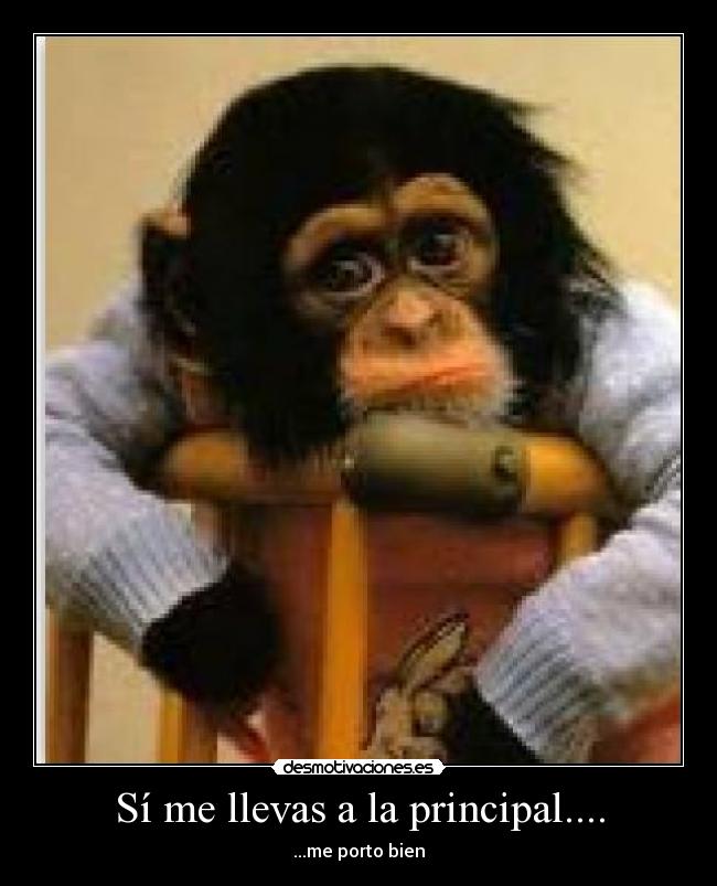 carteles desmotivaciones