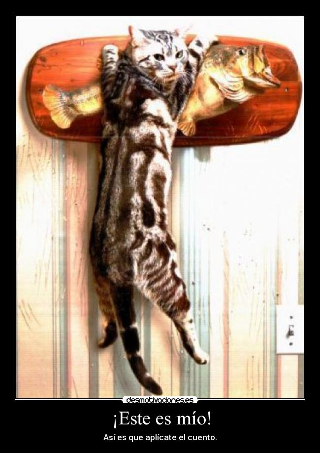 carteles dddd desmotivaciones