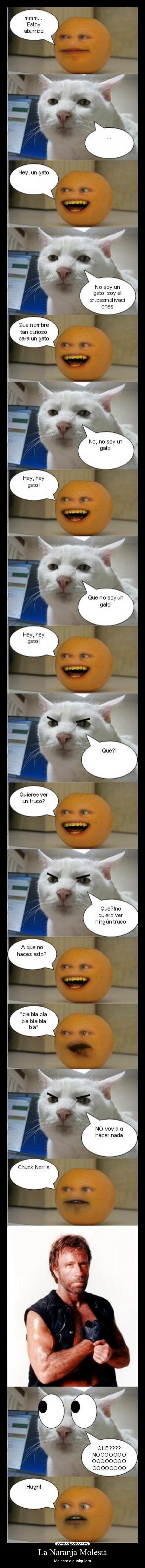 La Naranja Molesta - Molesta a cualquiera