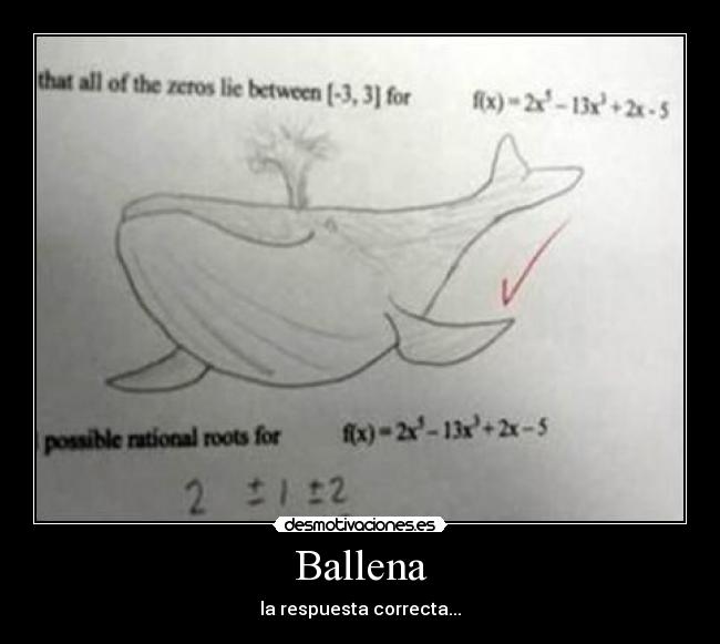 carteles examenes examen fail ballena respuesta correcta desmotivaciones