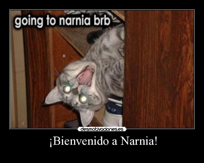 ¡Bienvenido a Narnia! -