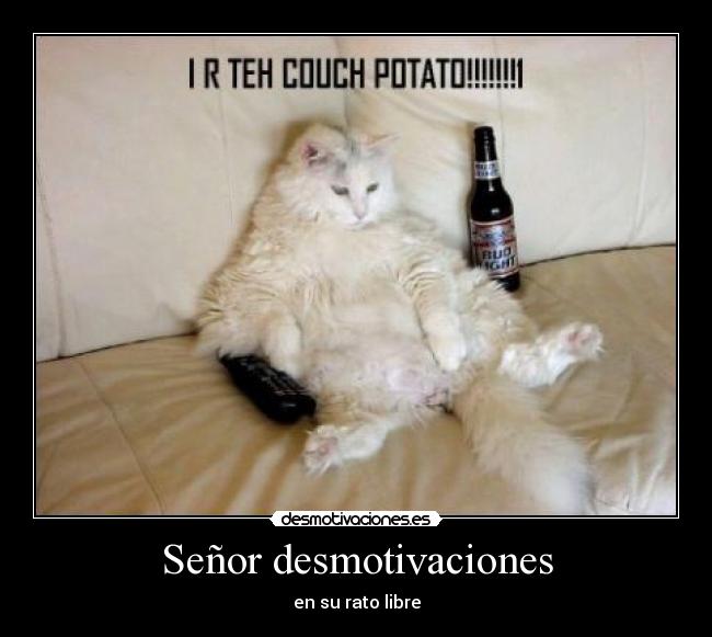 Señor desmotivaciones - en su rato libre