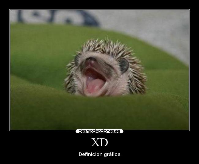 XD - Definicion gráfica