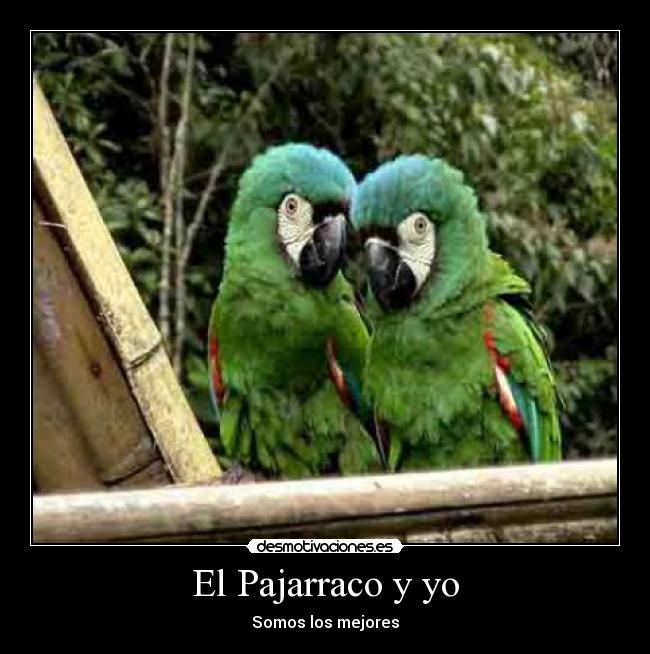 El Pajarraco y yo - 