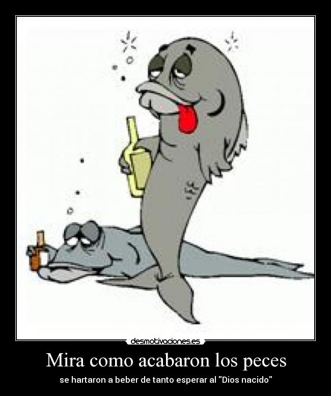 Mira como acabaron los peces - se hartaron a beber de tanto esperar al Dios nacido