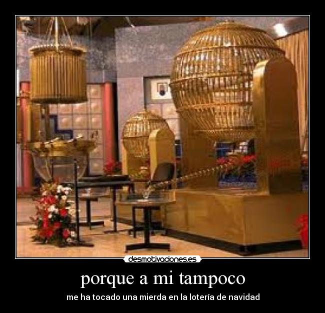 porque a mi tampoco -