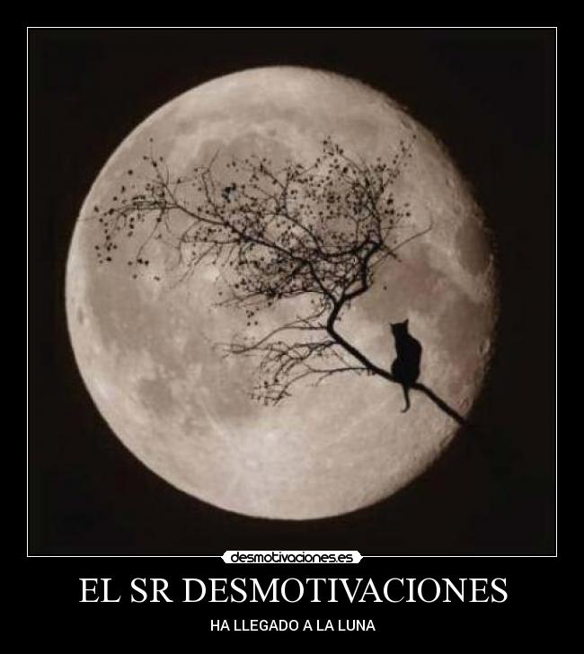EL SR DESMOTIVACIONES -