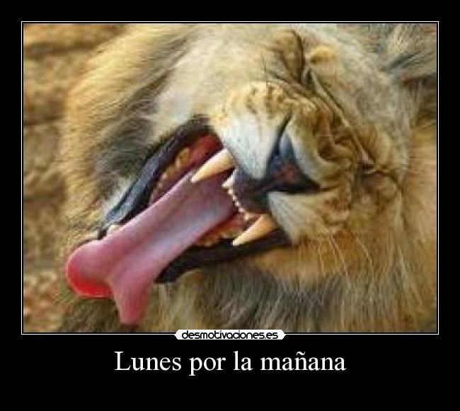 Lunes por la mañana - 