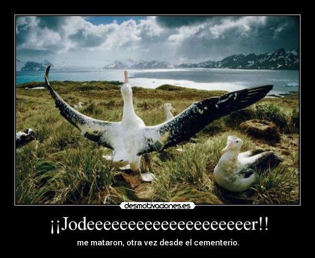 ¡¡Jodeeeeeeeeeeeeeeeeeeeer!! - me mataron, otra vez desde el cementerio.