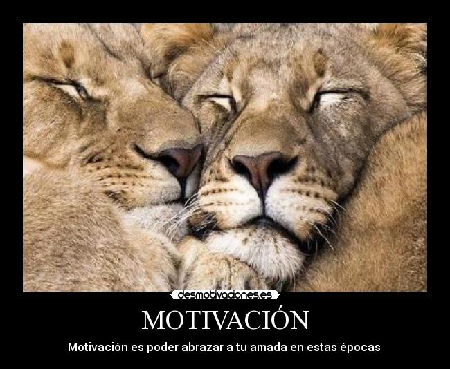 MOTIVACIÓN - Motivación es poder abrazar a tu amada en estas épocas 