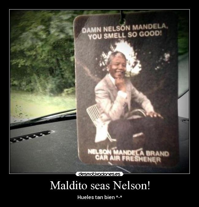 carteles madiba desmotivaciones
