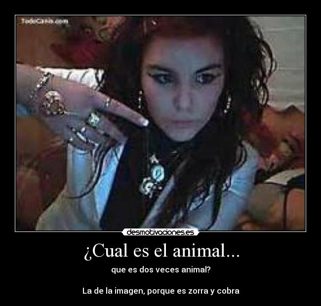 ¿Cual es el animal... - que es dos veces animal?

La de la imagen, porque es zorra y cobra