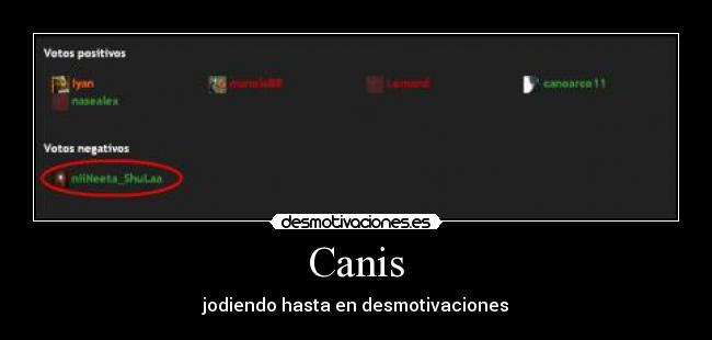 Canis - jodiendo hasta en desmotivaciones