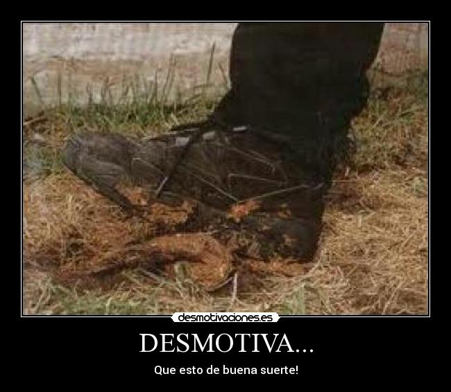 carteles tags desmotivaciones