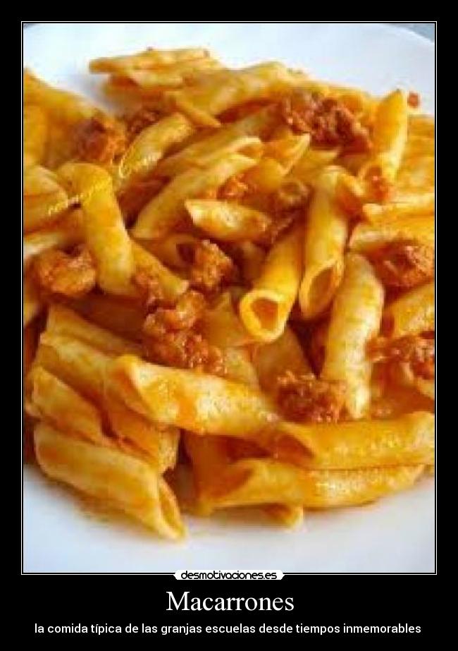 carteles macarrones granja escuela desmotivaciones