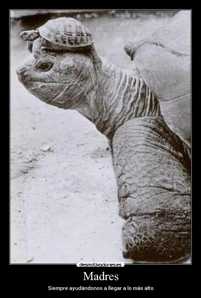 carteles madres siempre ayudandonos llegar mas alto flipytaker desmotivaciones