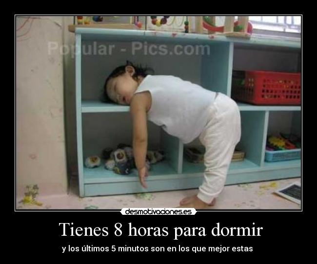  Tienes 8 horas para dormir - 