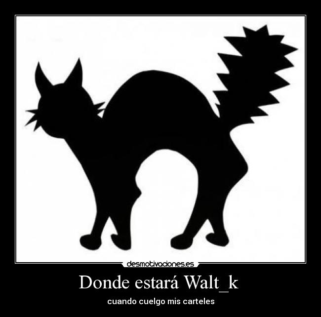 Donde estará Walt_k  - 