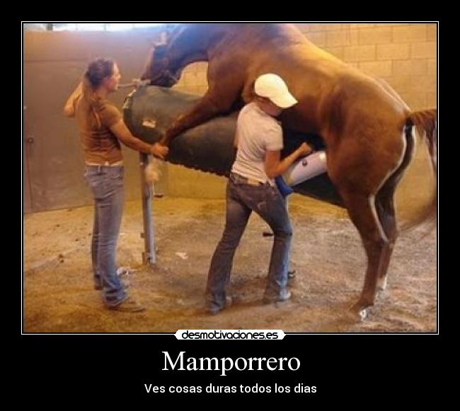 Mamporrero -