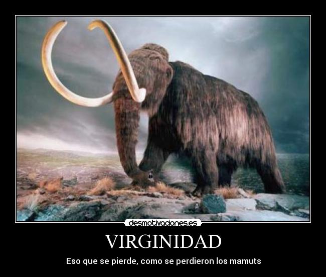 VIRGINIDAD - 