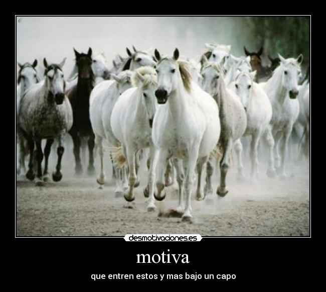 carteles denisrap desmotivaciones