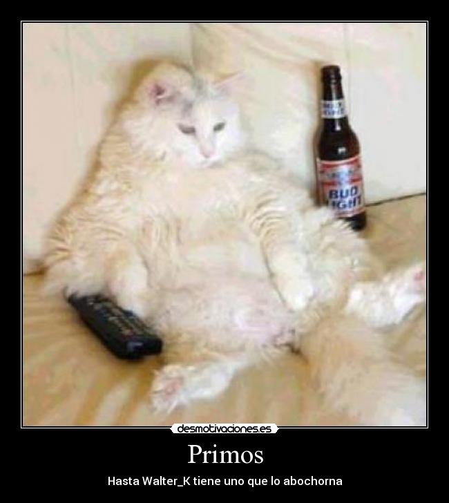 Primos - 