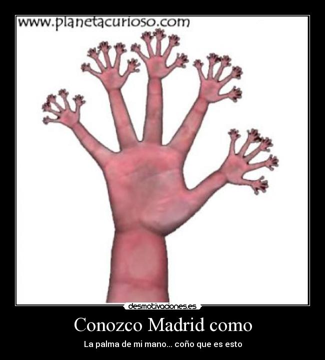 Conozco Madrid como - La palma de mi mano... coño que es esto