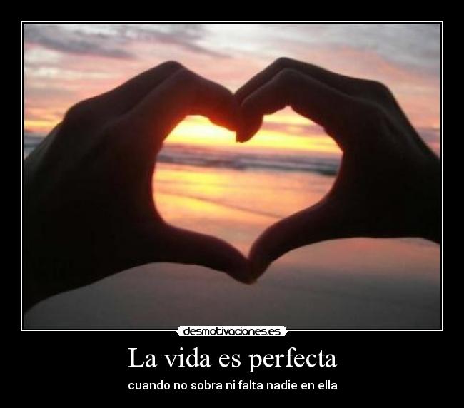 La vida es perfecta - 