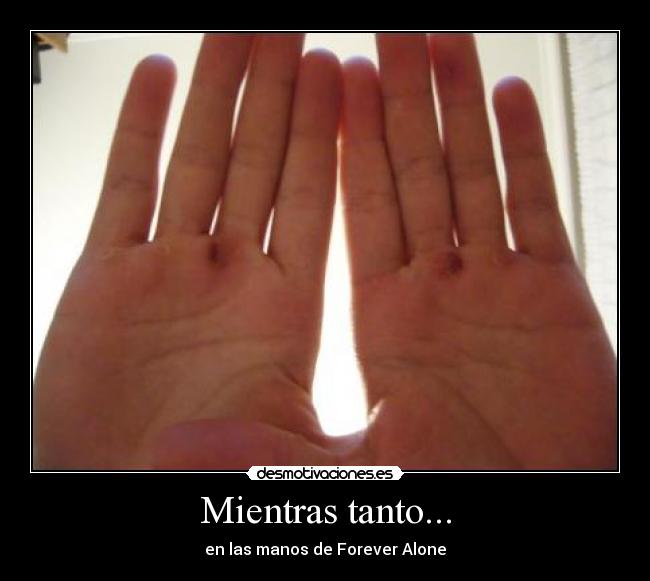 Mientras tanto... - en las manos de Forever Alone