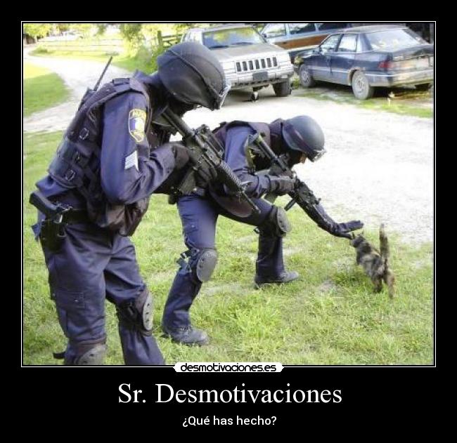 Sr. Desmotivaciones - 