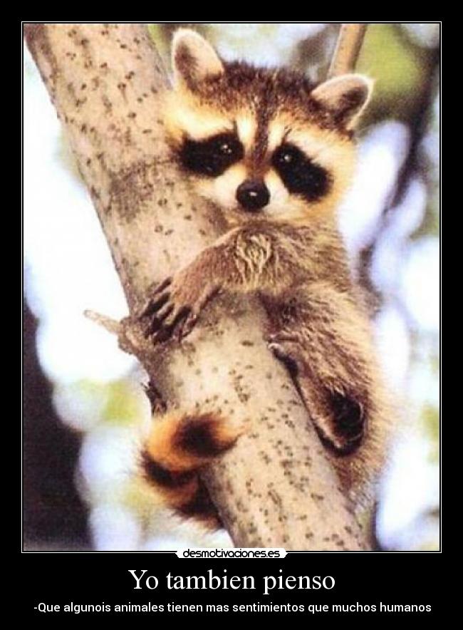 Yo tambien pienso - 