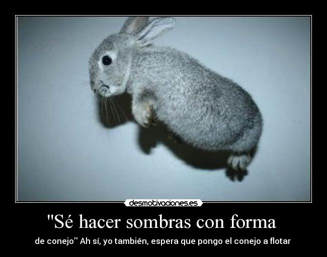 Sé hacer sombras con forma  - de conejo Ah sí, yo también, espera que pongo el conejo a flotar 