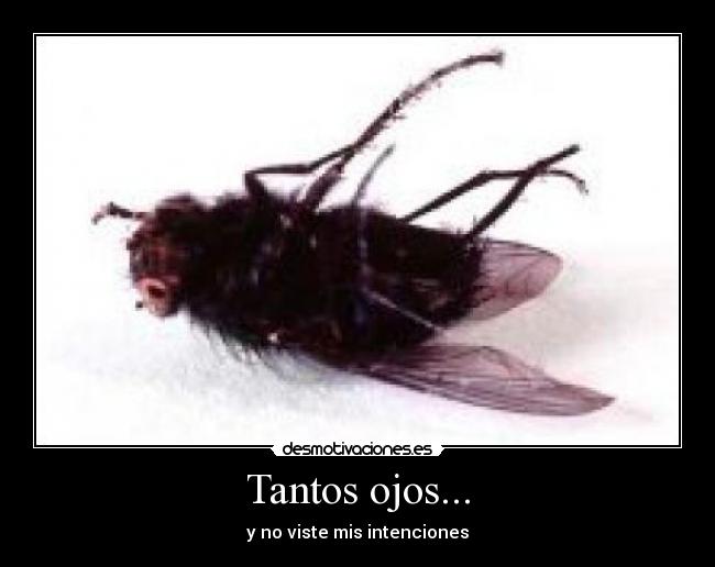 Tantos ojos... - y no viste mis intenciones