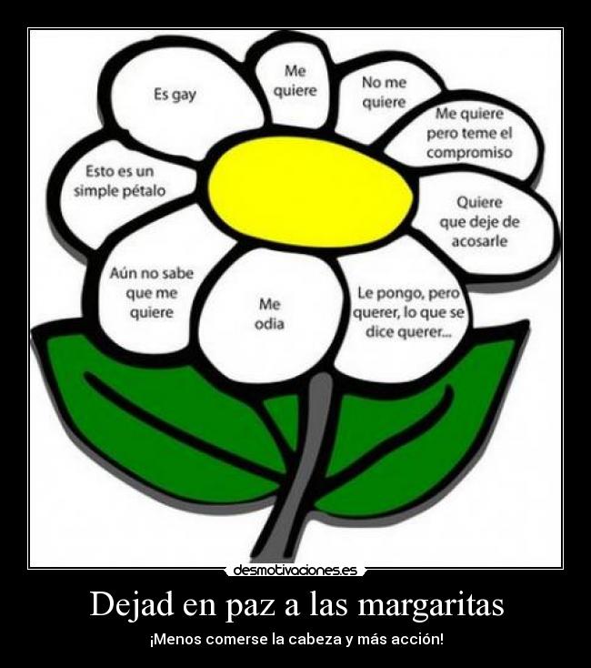 Dejad en paz a las margaritas - ¡Menos comerse la cabeza y más acción!