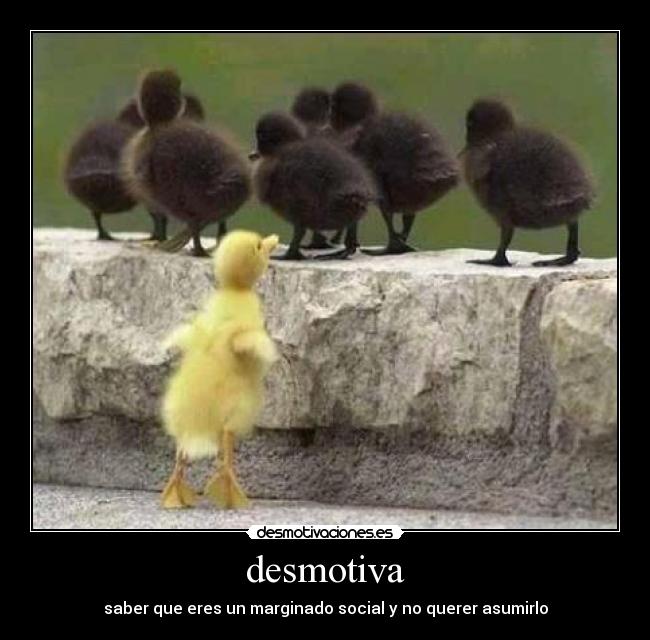 desmotiva - 