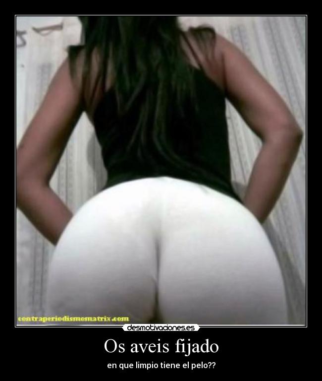 Os aveis fijado - 