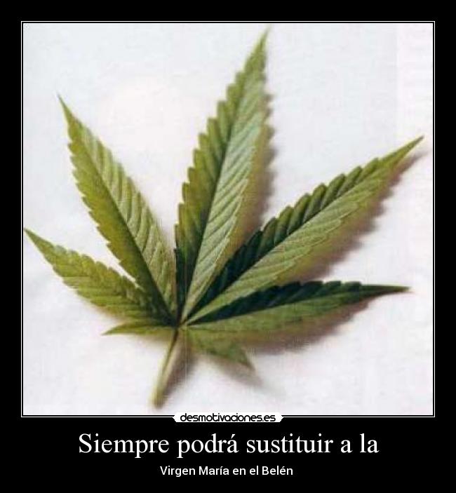 Siempre podrá sustituir a la - Virgen María en el Belén 