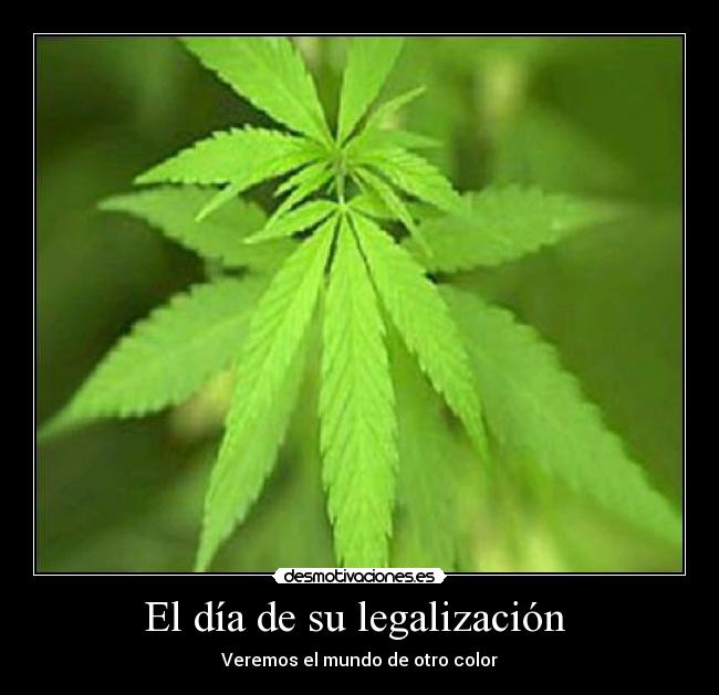 El día de su legalización -
