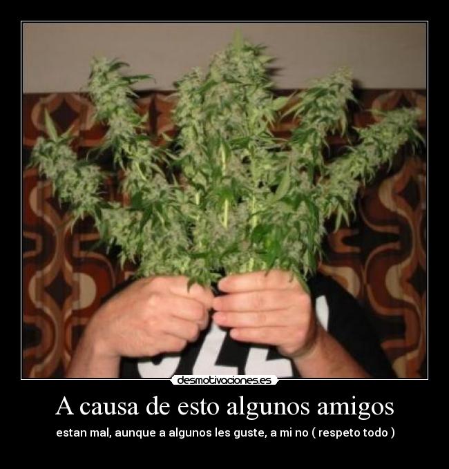 A causa de esto algunos amigos - estan mal, aunque a algunos les guste, a mi no ( respeto todo )