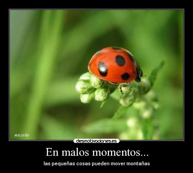 En malos momentos... - 