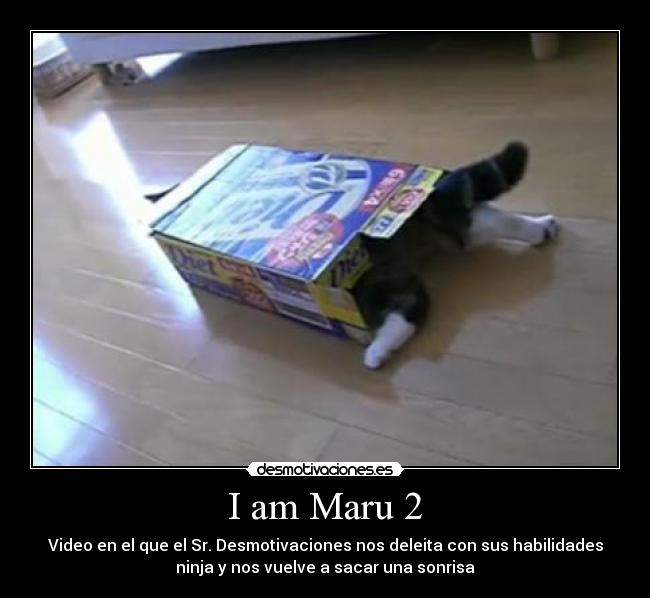 I am Maru 2 - Video en el que el Sr. Desmotivaciones nos deleita con sus habilidades
ninja y nos vuelve a sacar una sonrisa