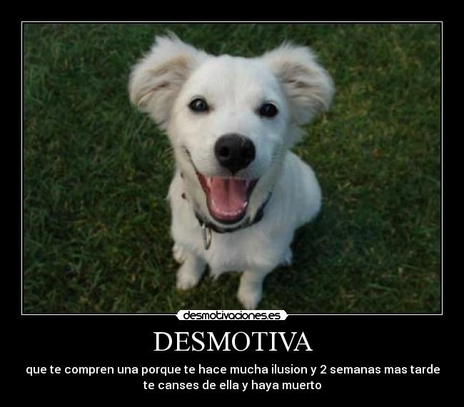 DESMOTIVA - que te compren una porque te hace mucha ilusion y 2 semanas mas tarde
te canses de ella y haya muerto