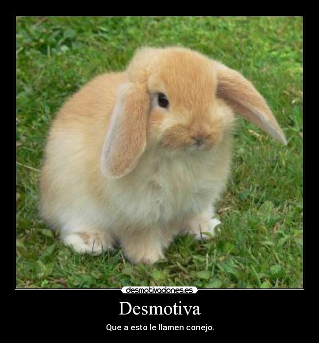 Desmotiva - 