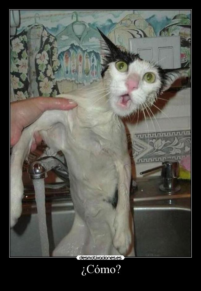 ¿Cómo? -