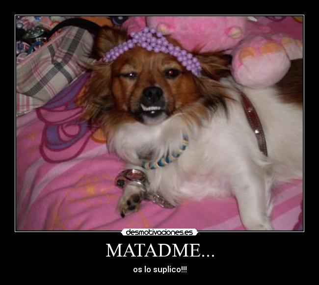 MATADME... - 