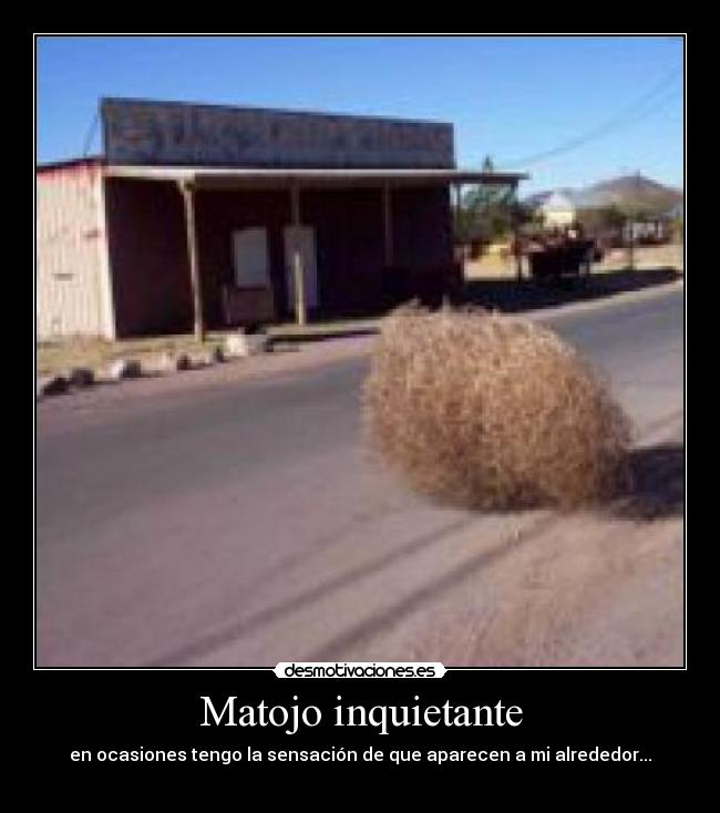 Matojo inquietante -