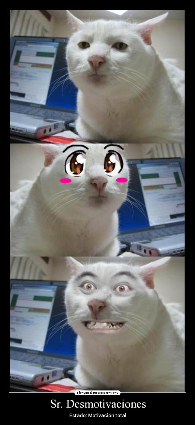 Sr. Desmotivaciones - Estado: Motivación total
